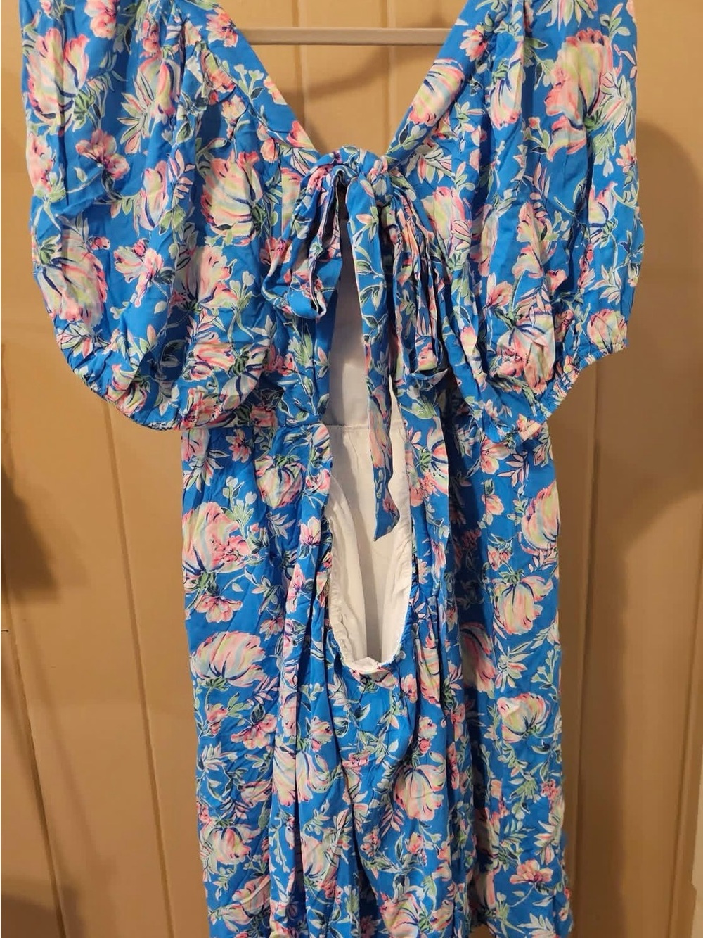 Emily Wonder Blue Floral Tie-Back Dress (this is the back view)